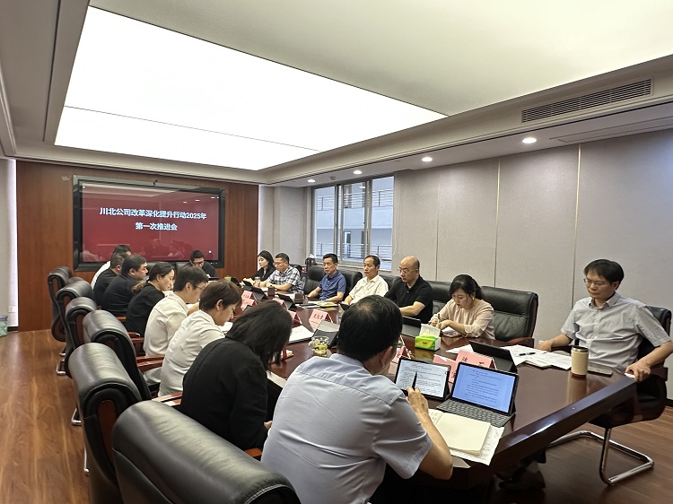 改革深化提升行动2025年第一次推进会 （陈明）（小.jpg