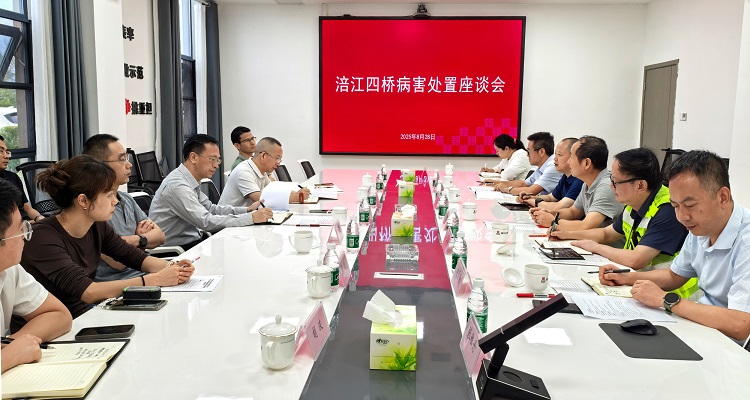 蜀道集团总工程师黄兵一行调研绵广高速涪江四桥病害处治工作（小.jpg